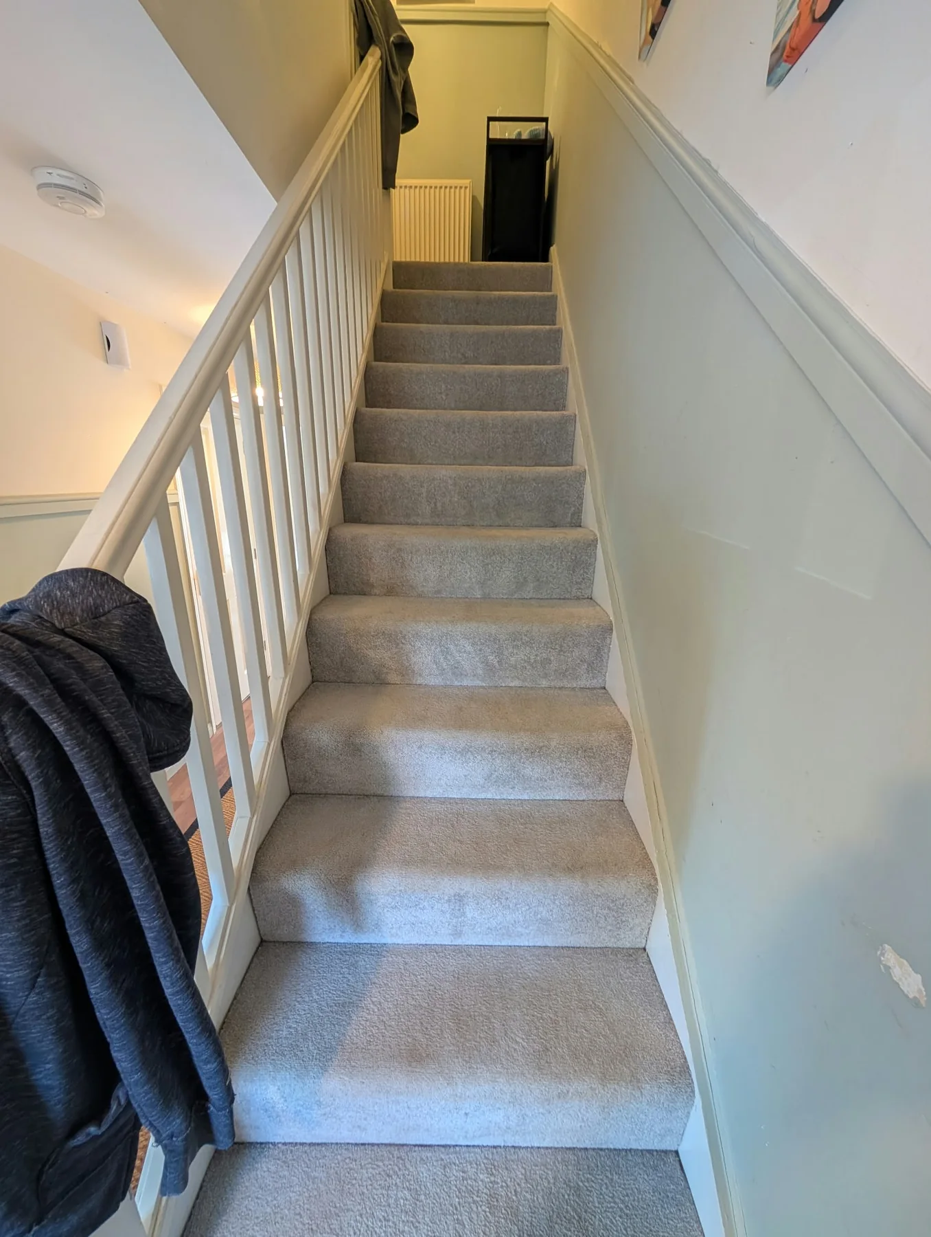 Professional professional carpet cleaning by CNP Services
